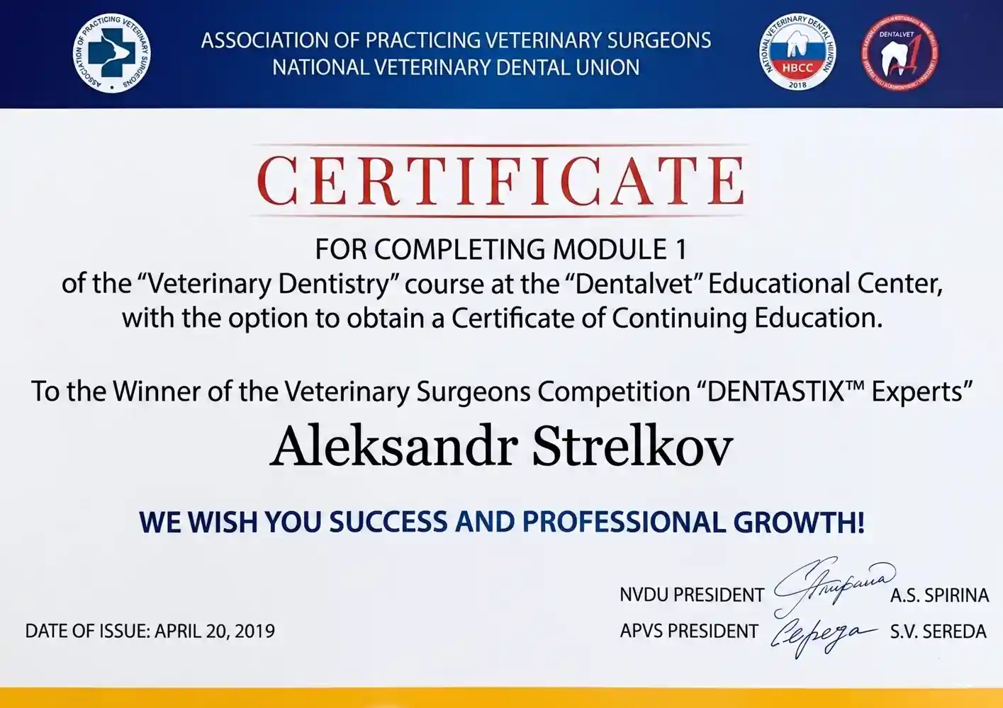 Conference Certificate 7