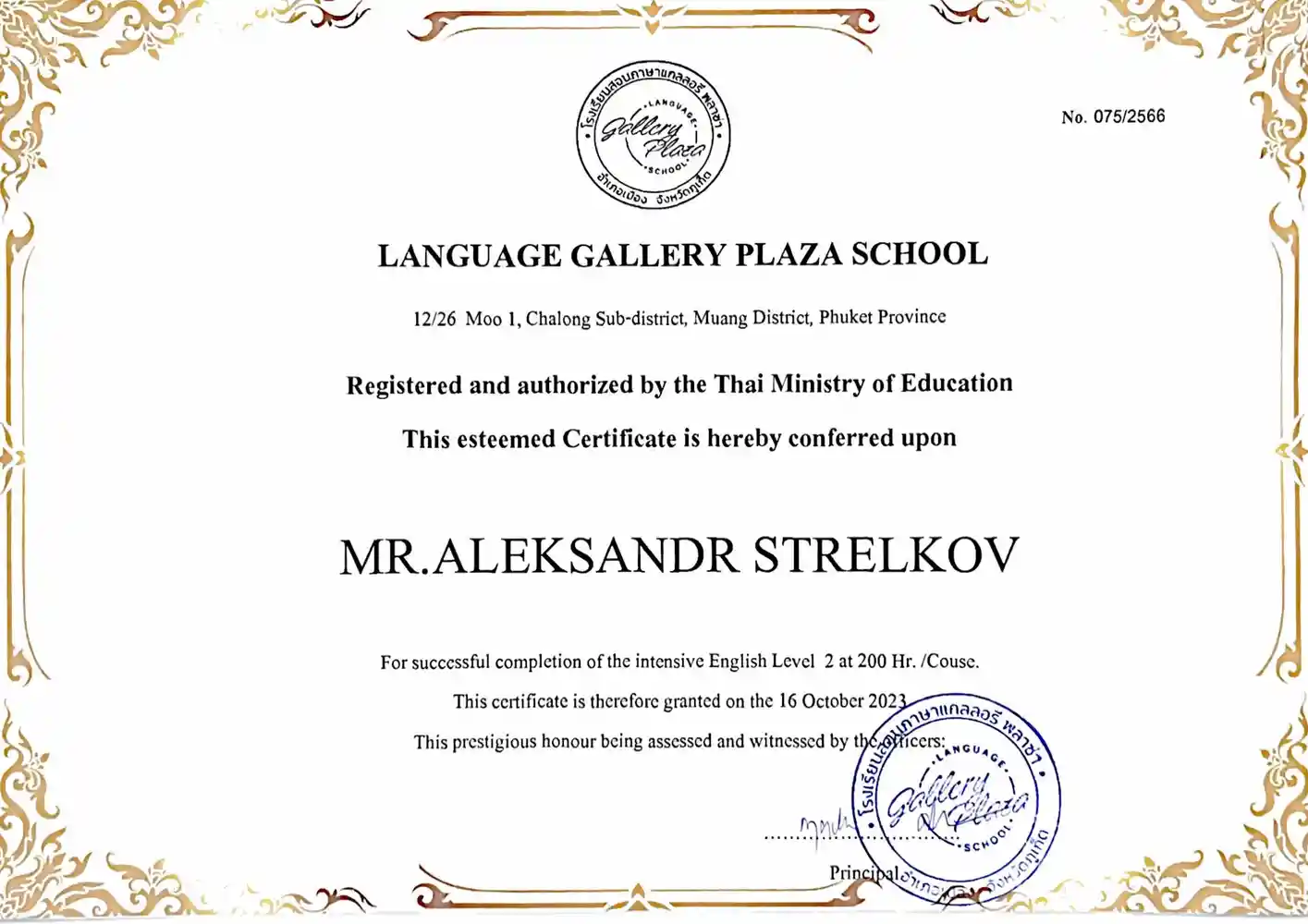 Conference Certificate 8