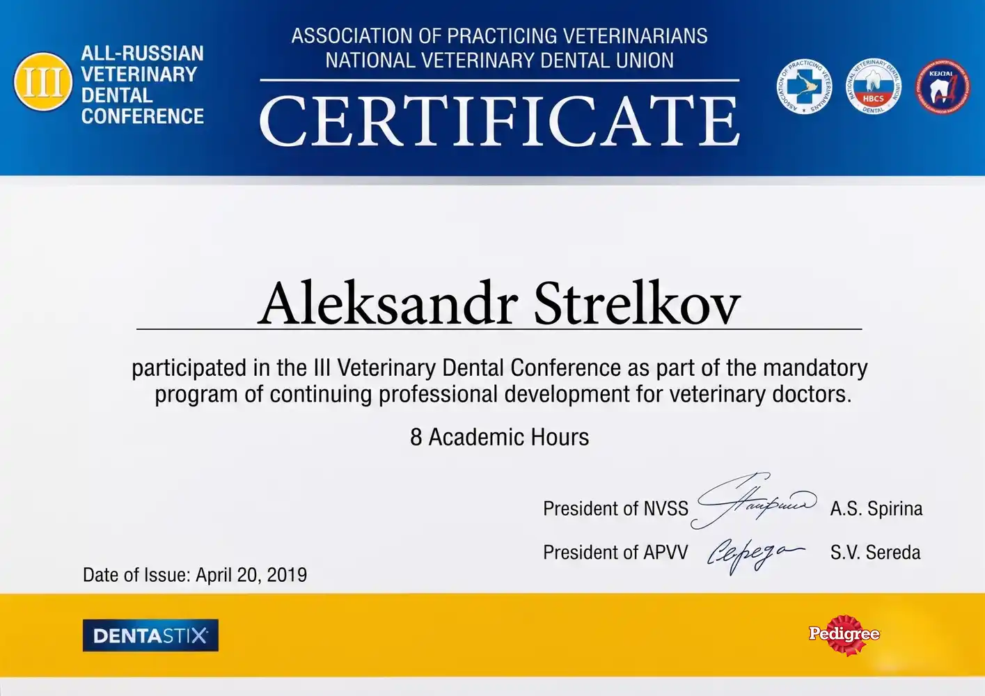 Conference Certificate 9