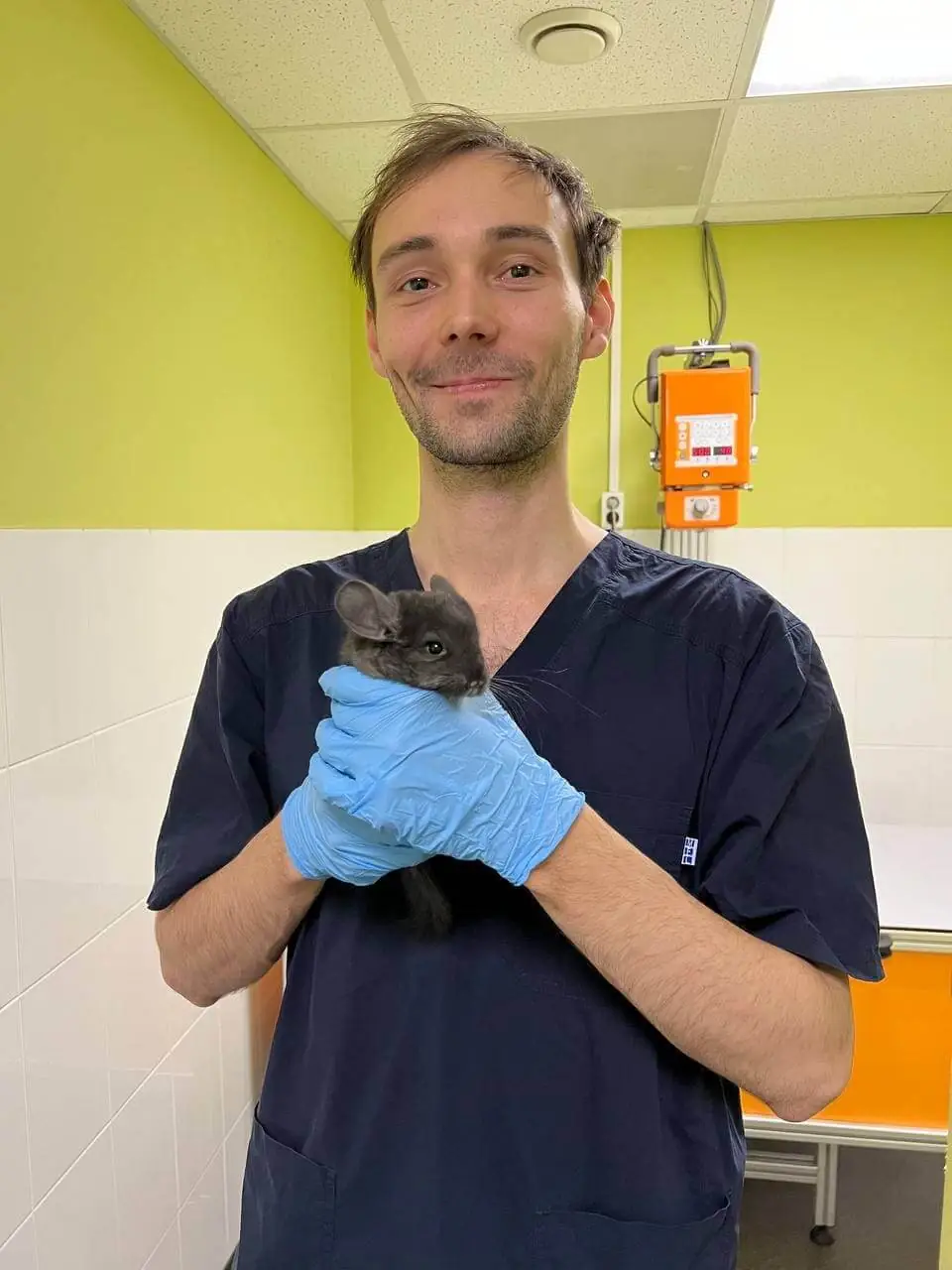 Rodent veterinary examination