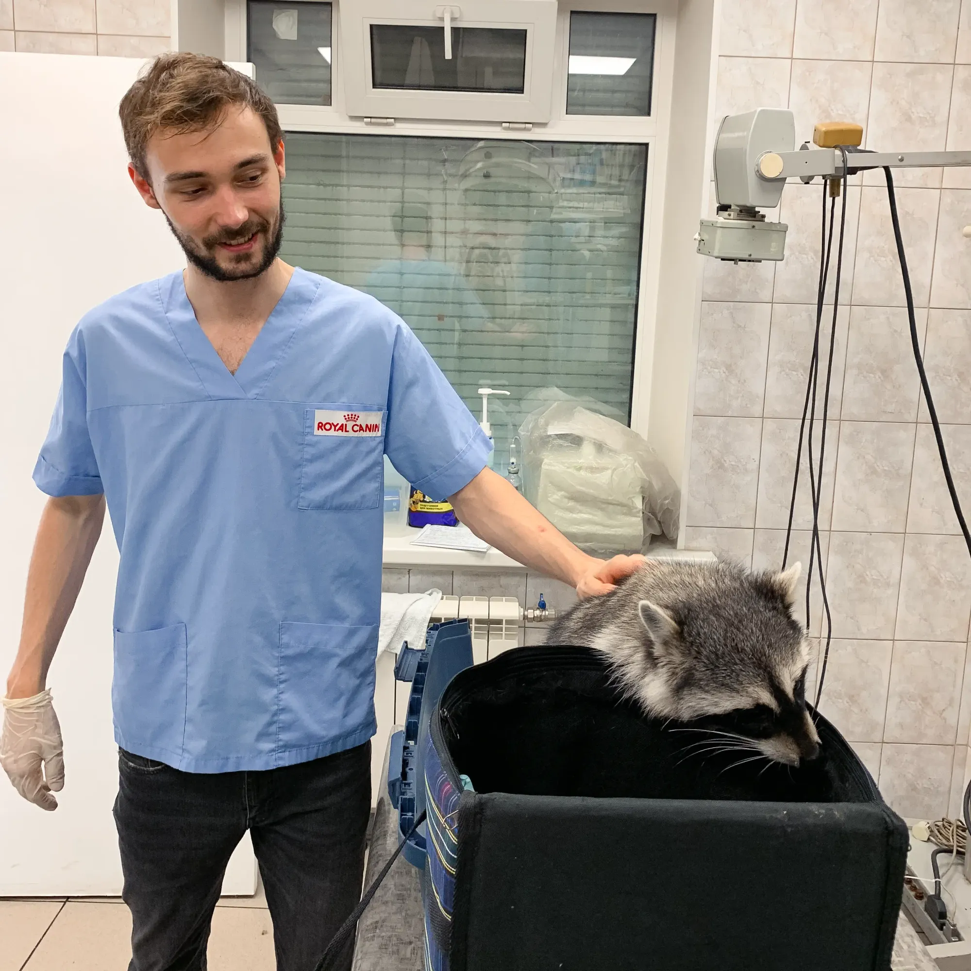 Dr. Strelkov providing patient care at a veterinary clinic
