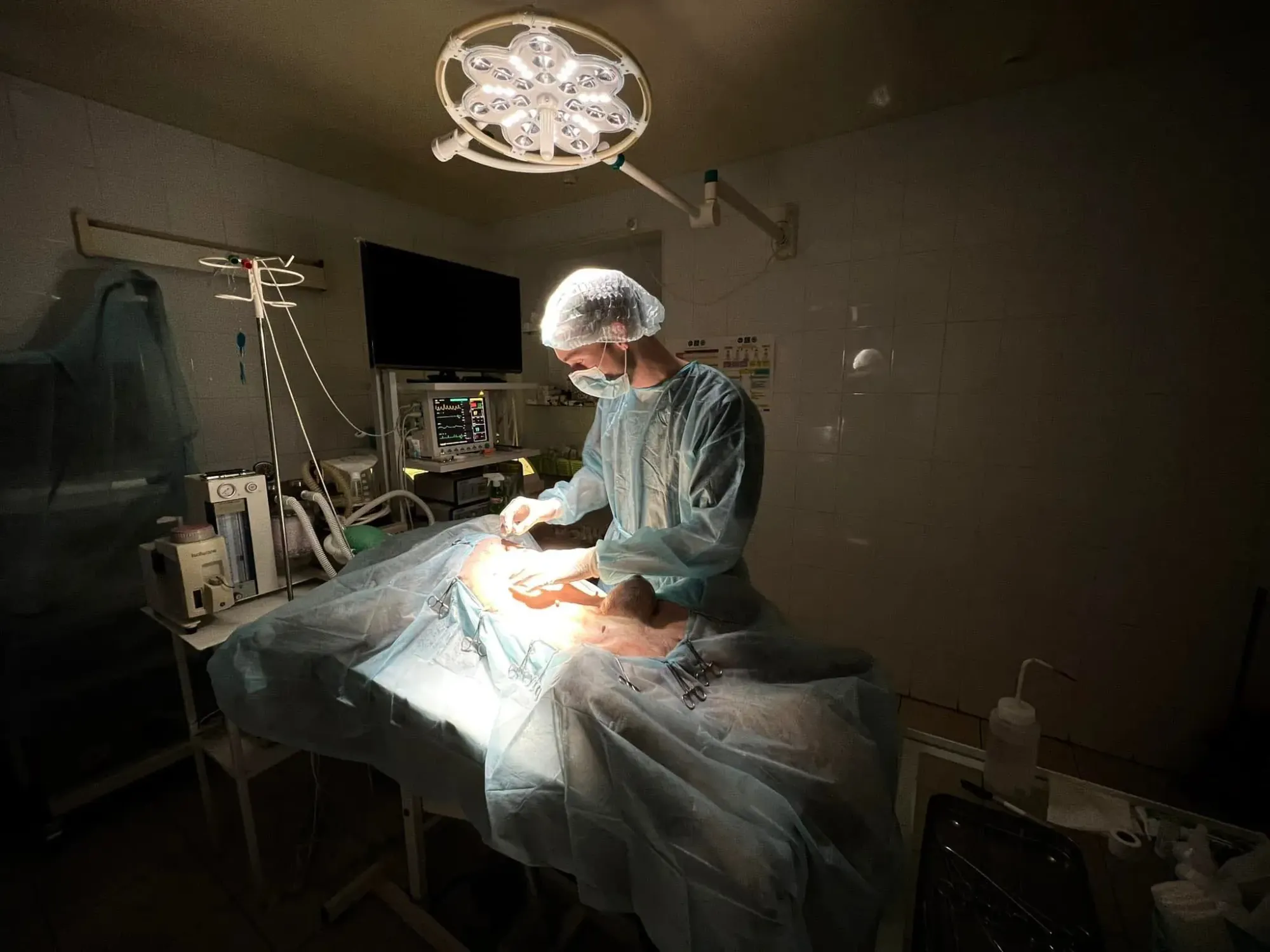 A surgical procedure in a veterinary operating theatre