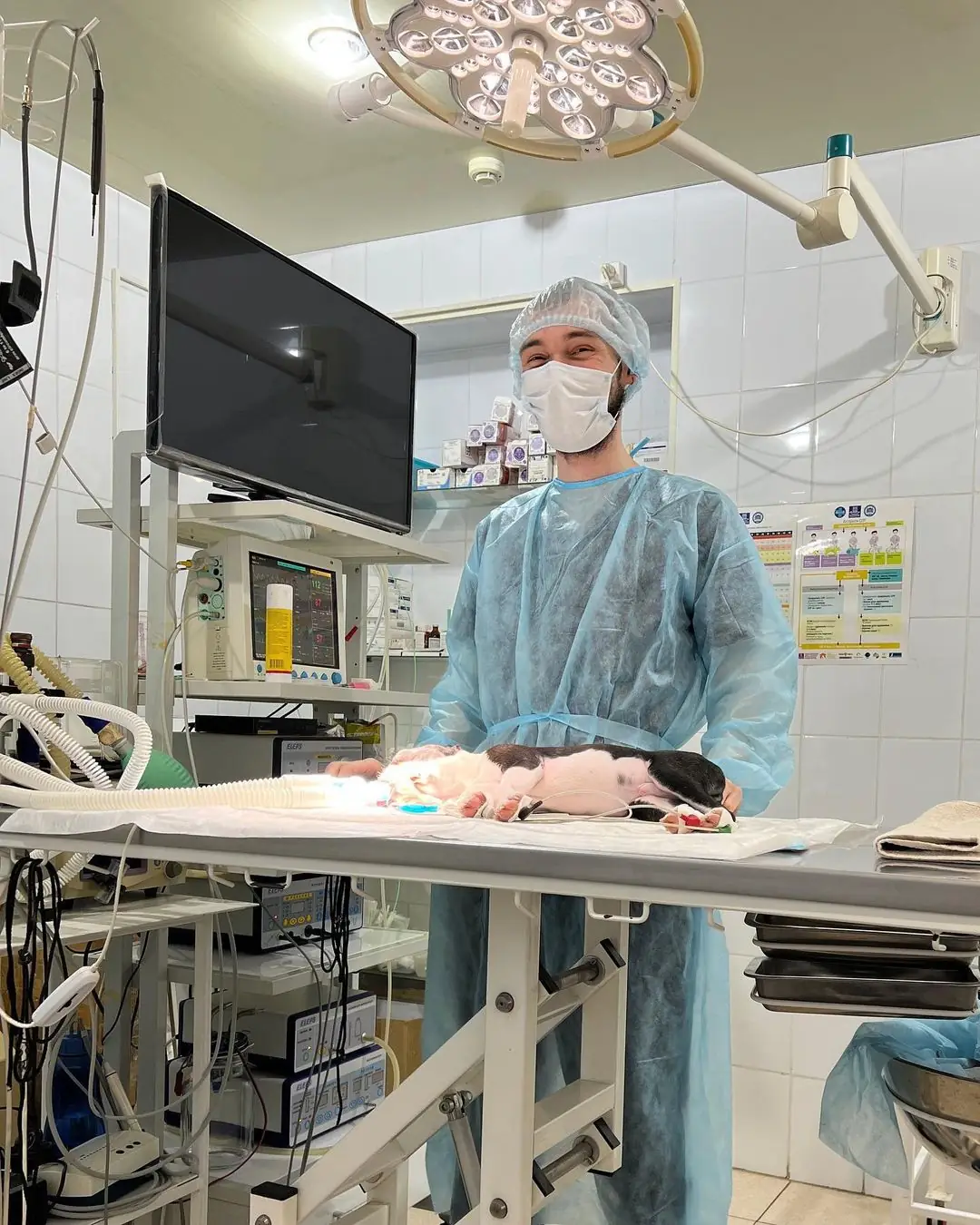 Dr. Strelkov during a procedure at a specialist clinic