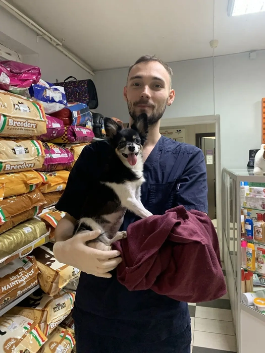 Dr. Strelkov with a dog at a veterinary clinic