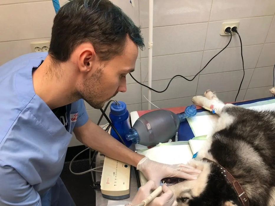 Dr. Strelkov during an in-clinic procedure