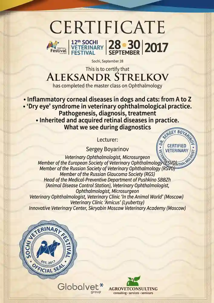 Veterinary conference participation certificate 3