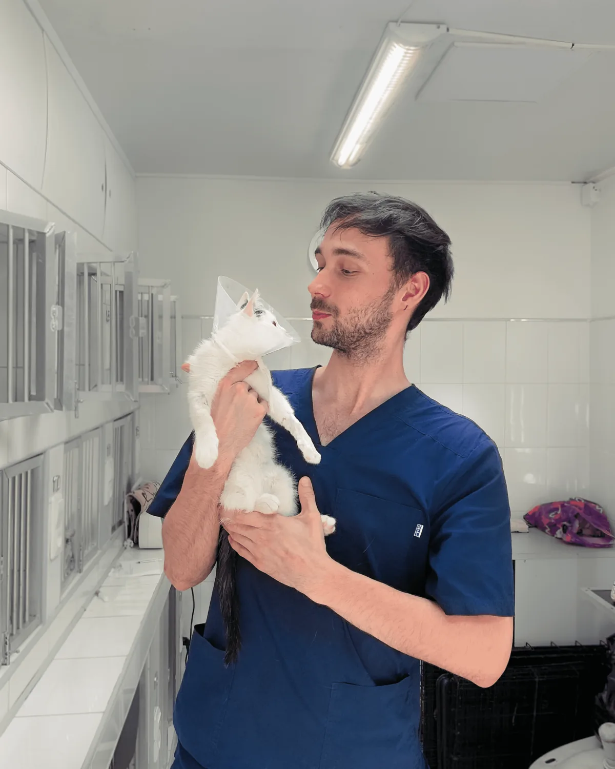 Dr. Alex Strelkov holding a kitten in the clinic ward