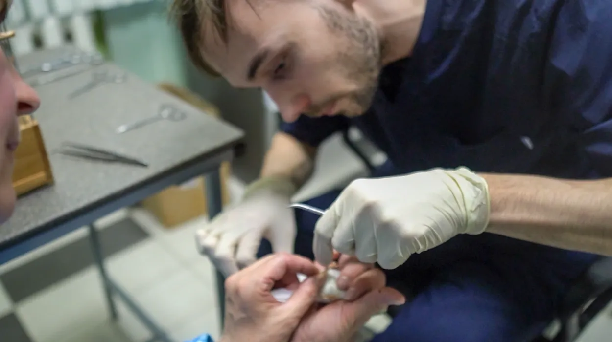 Dr. Alex Strelkov, avian and exotic animal veterinarian