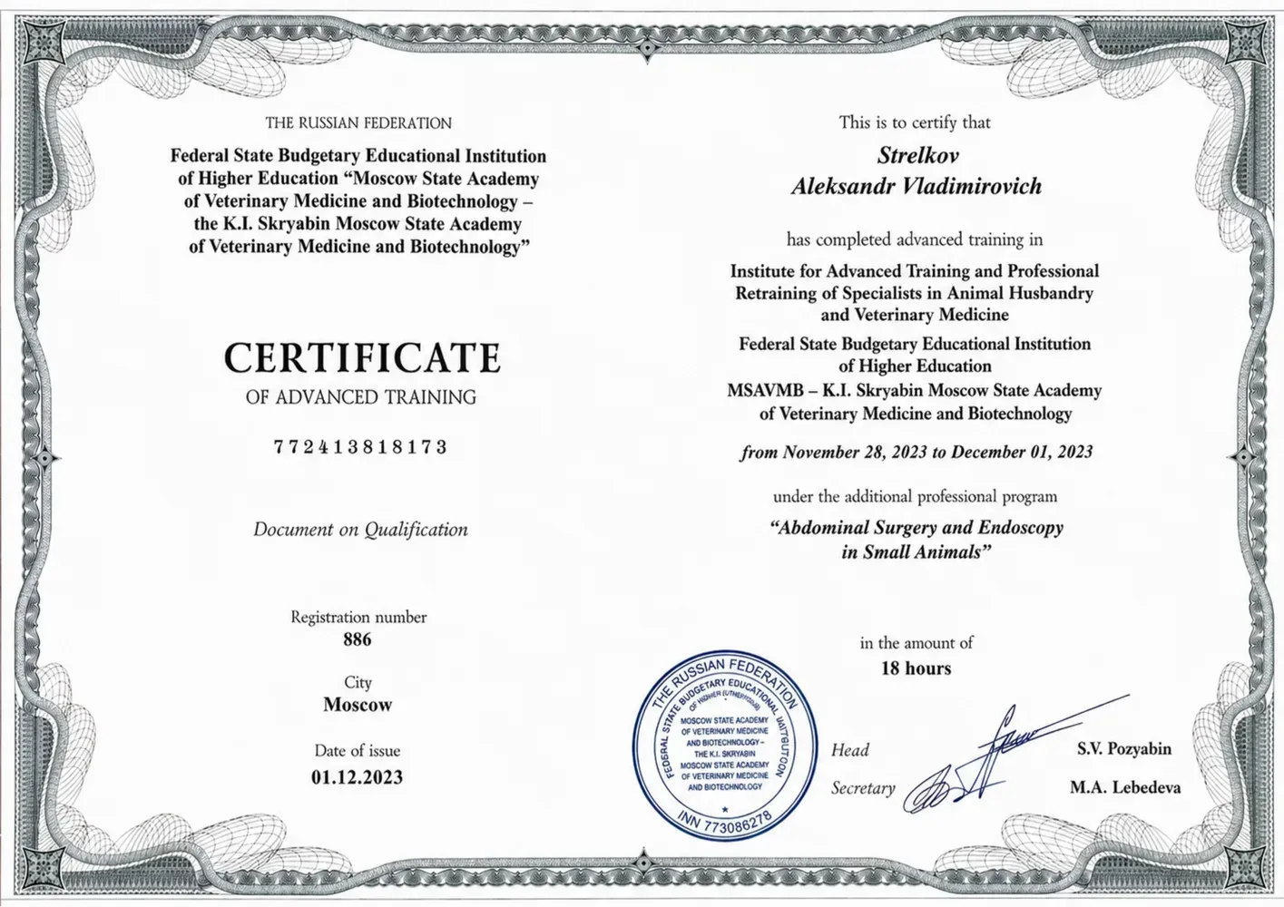 Advanced training — abdominal surgery and endoscopy