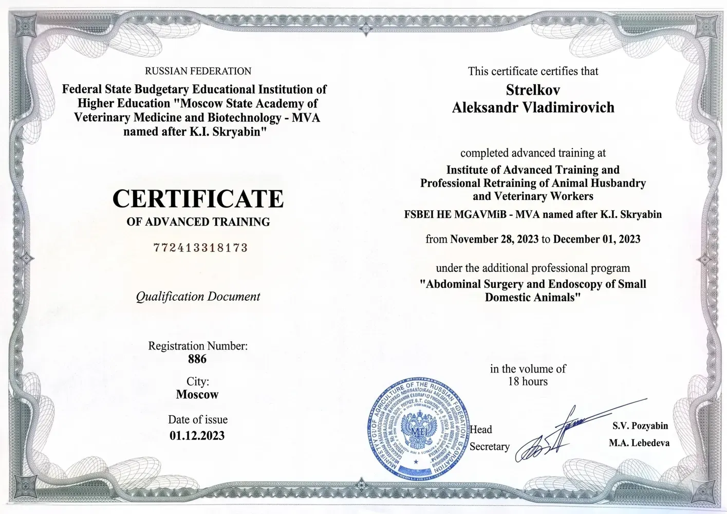 Advanced training — abdominal surgery and endoscopy